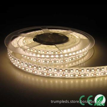 Factory direct 3528 5050smd neon LED strip